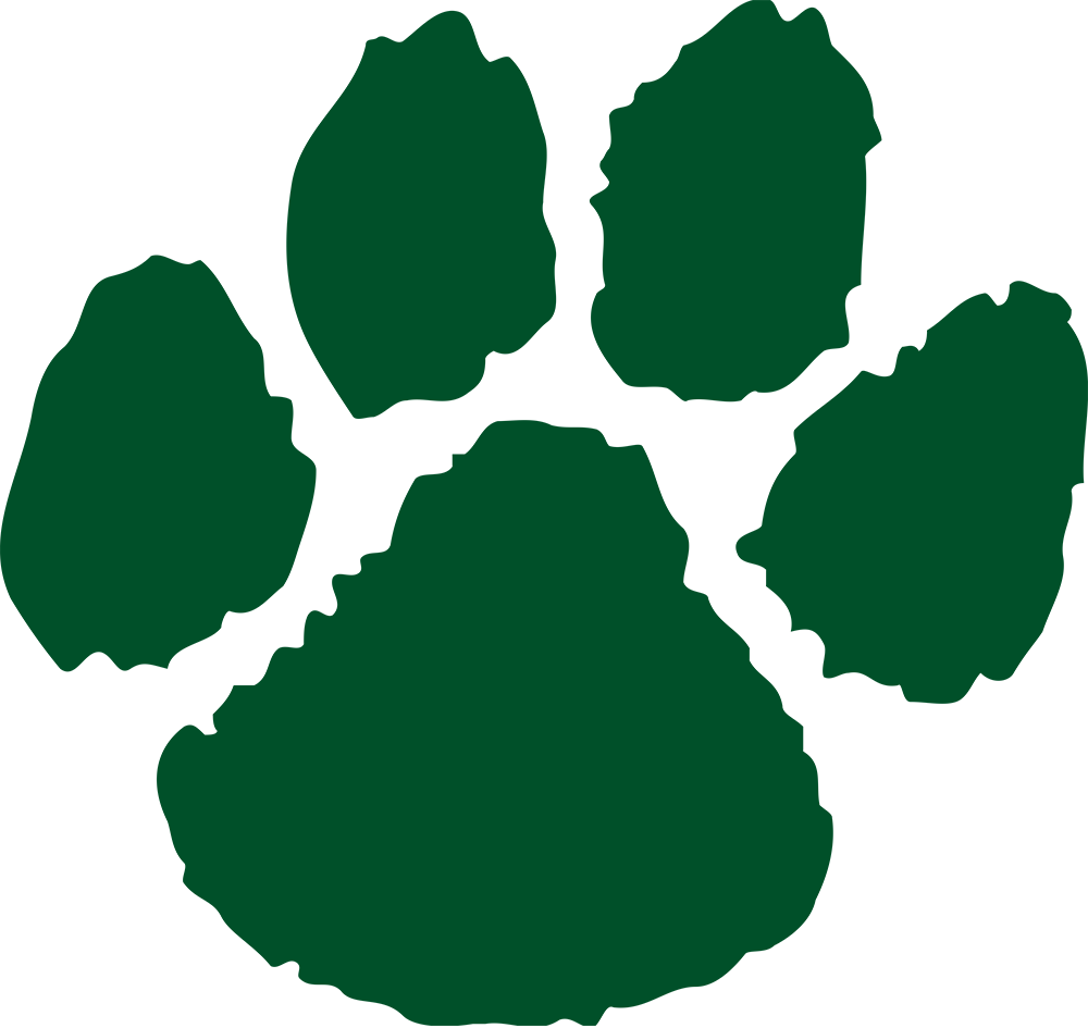 Northern Michigan Wildcats 0-Pres Alternate Logo v2 diy iron on heat transfer